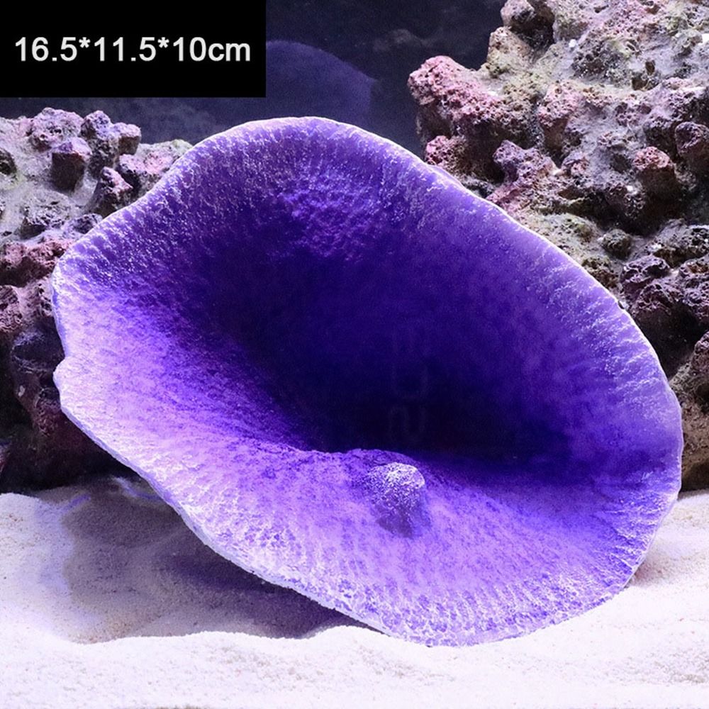Hars Kunstmatig Koraal Model L - Marine Coral recensie en prijs