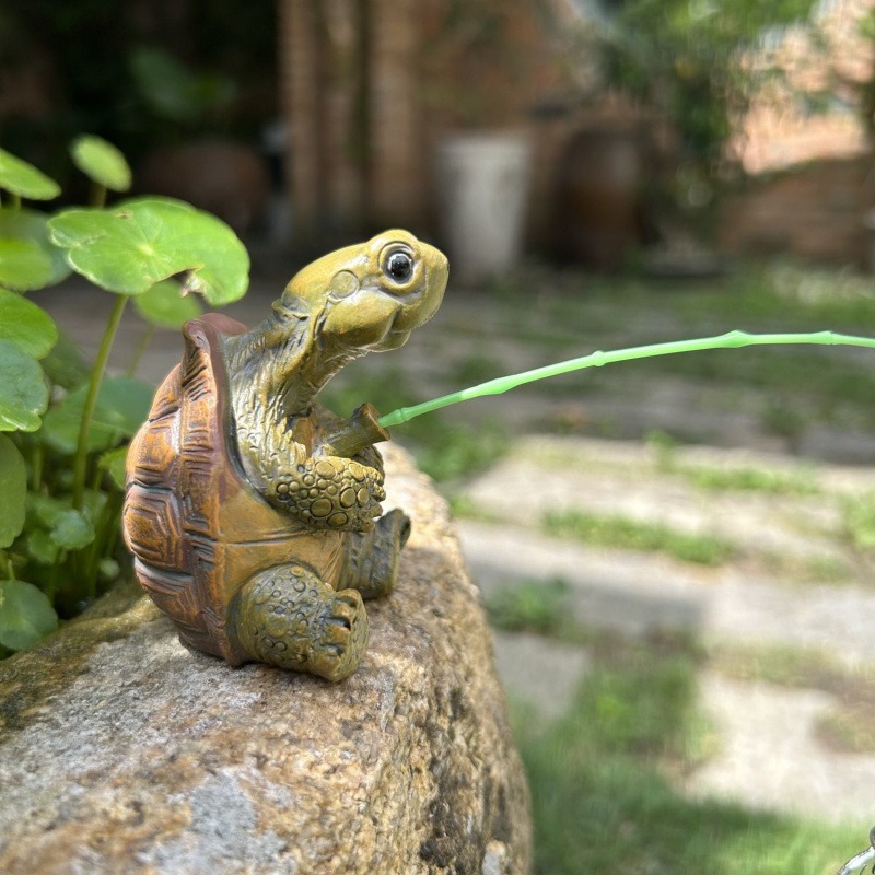 Schildpadvissen, aquariumdecor - Ocean Aquarium recensie en prijs