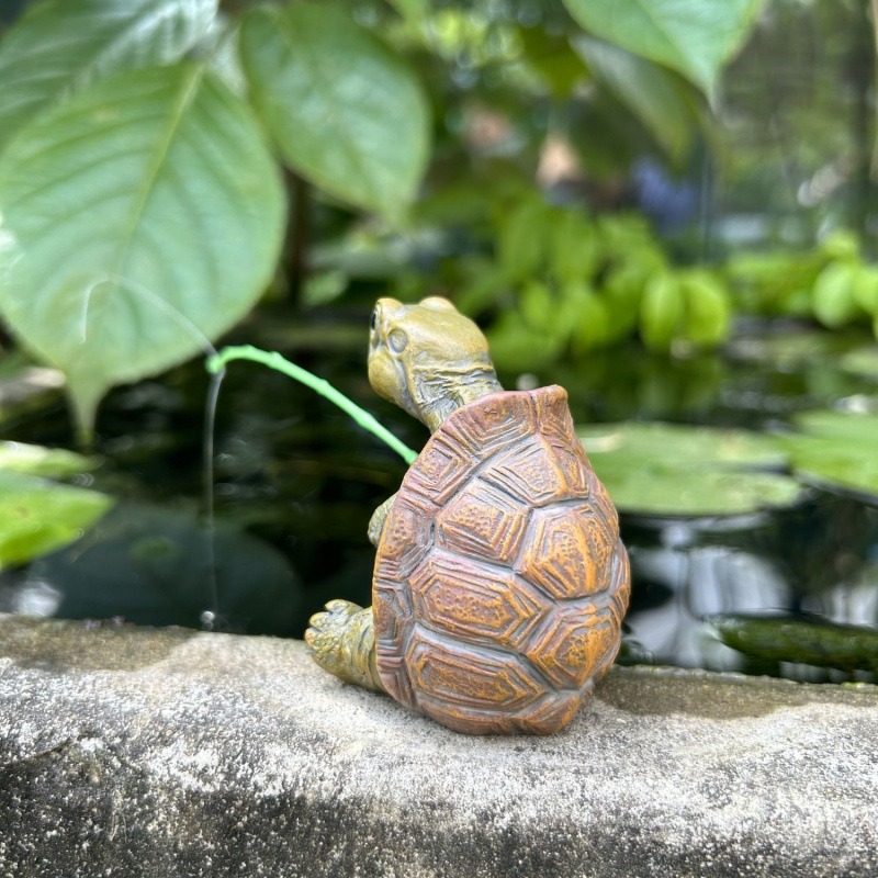 Schildpadvissen, aquariumdecor - Ocean Aquarium recensie en prijs