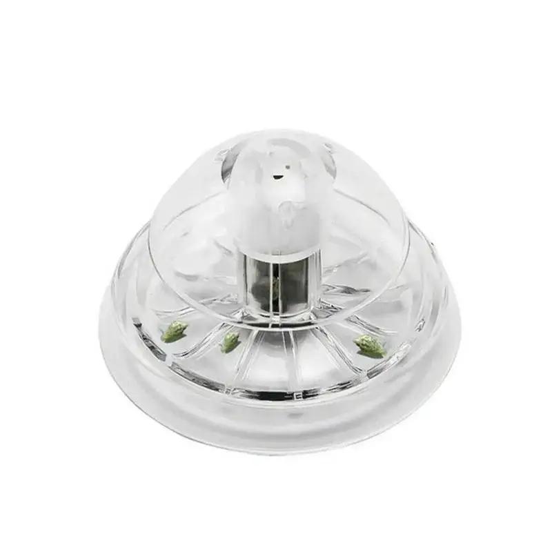 2026 Nieuwe 6/8CM Transparante - Marine Aquarium recensie en prijs