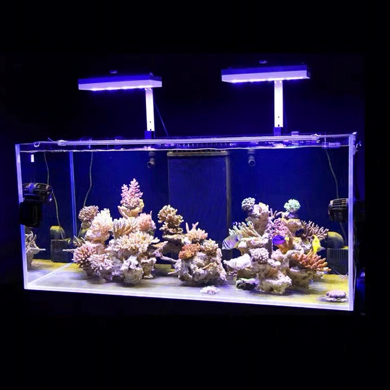 Aqua Lighting AI Hydra 32HD/64 - Reef Lighting recensie en prijs