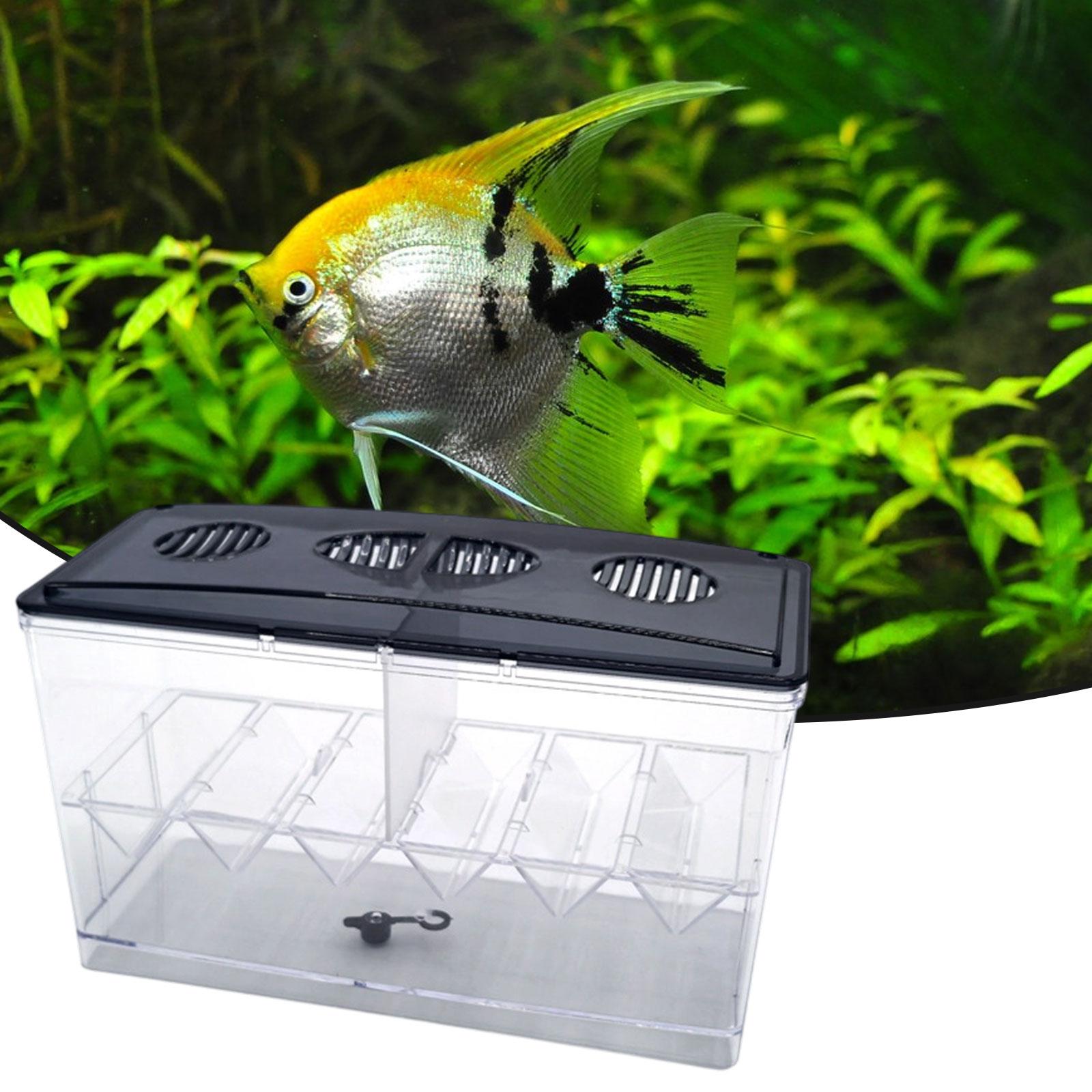 Drijvende visveredeling Isolat - Reef Tank Filter recensie en prijs