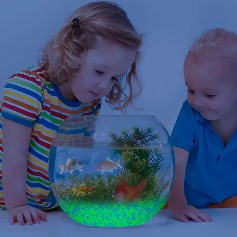 1000 stks 3-5mm Lichtgevende Z - Marine Fish Tank recensie en prijs