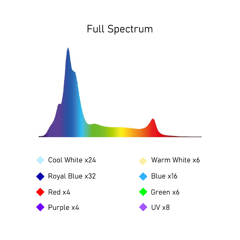 A8SE II Max en Blue 240W Volsp - Marine Coral recensie en prijs