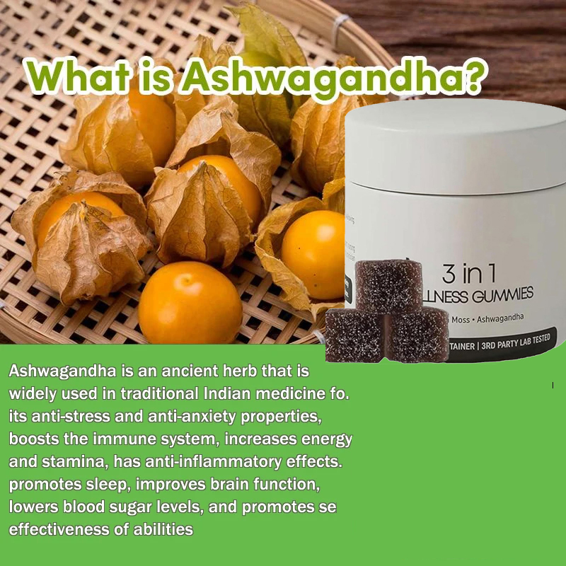 3-in-1 Wellness Gummies Shilaj - Saltwater Tank recensie en prijs