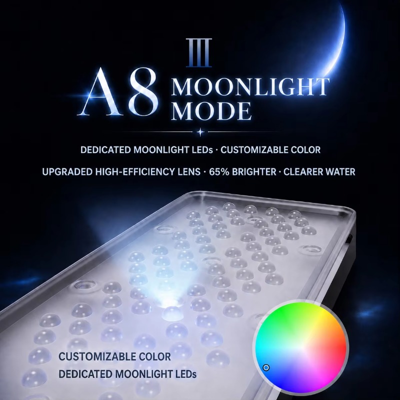 AIPAI A8 III-serie A8SE/A8 Pro - Marine Coral recensie en prijs